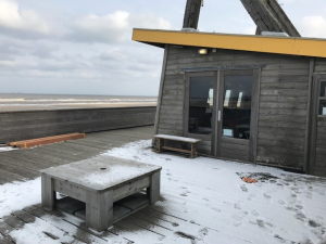 Arien klaar voor het kiten